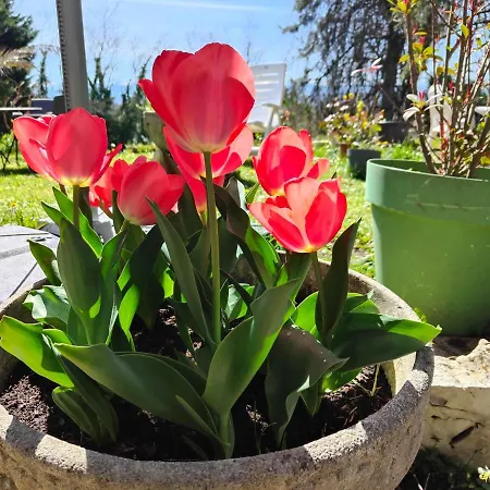 Le Botte Et Table D'hote Sur Reservation *