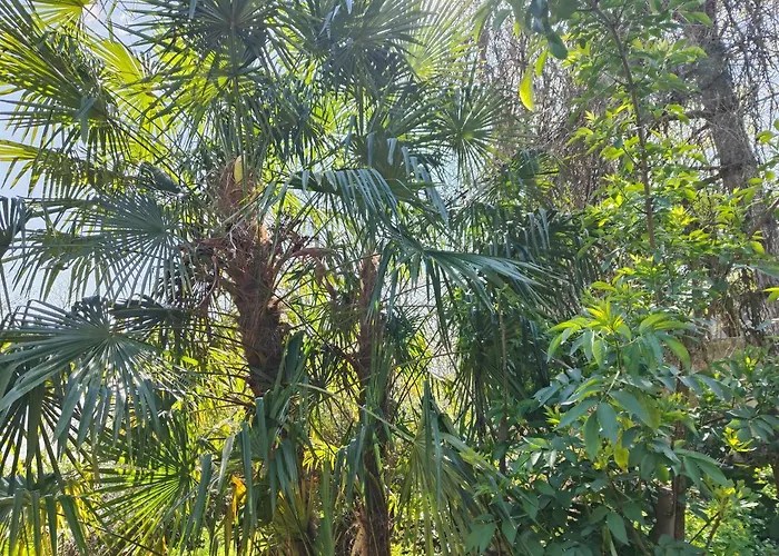 Prázdninový dům Le Botte Et Table D'hote Sur Reservation *