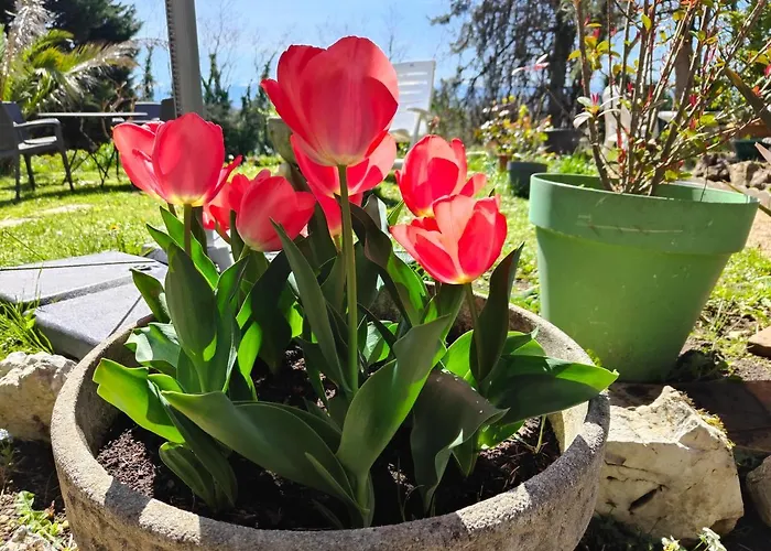 Le Botte Et Table D'hote Sur Reservation *