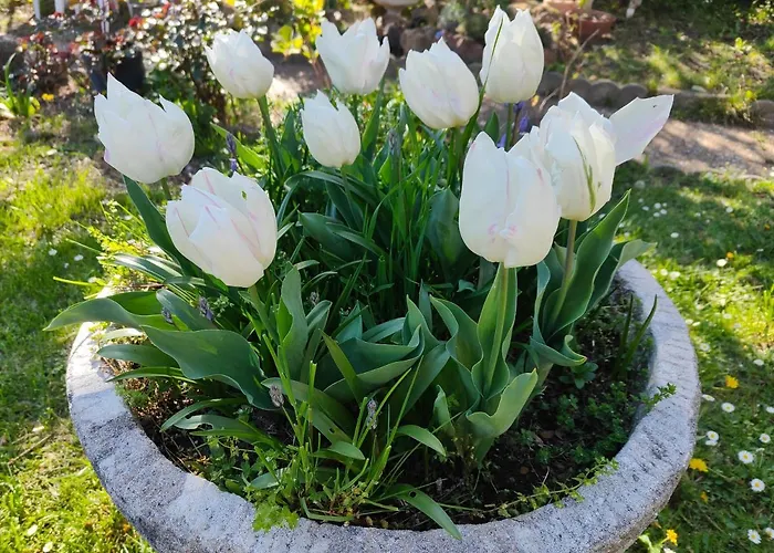 Le Botte Et Table D'hote Sur Reservation *